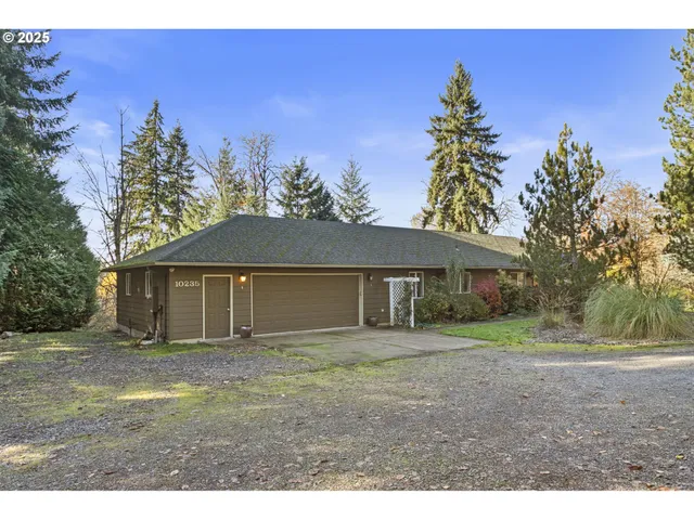 a view of a park with large trees