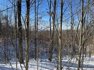 Lot#32 Beech Ridge Lane West Paris, ME 04289 - Photo 3 of 6 Beech Ridge Lot