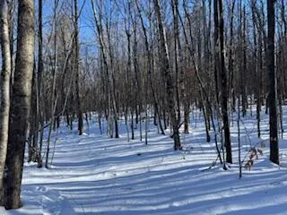 $75,000 | Lot#32 Beech Ridge Lane, West Paris, ME 04289