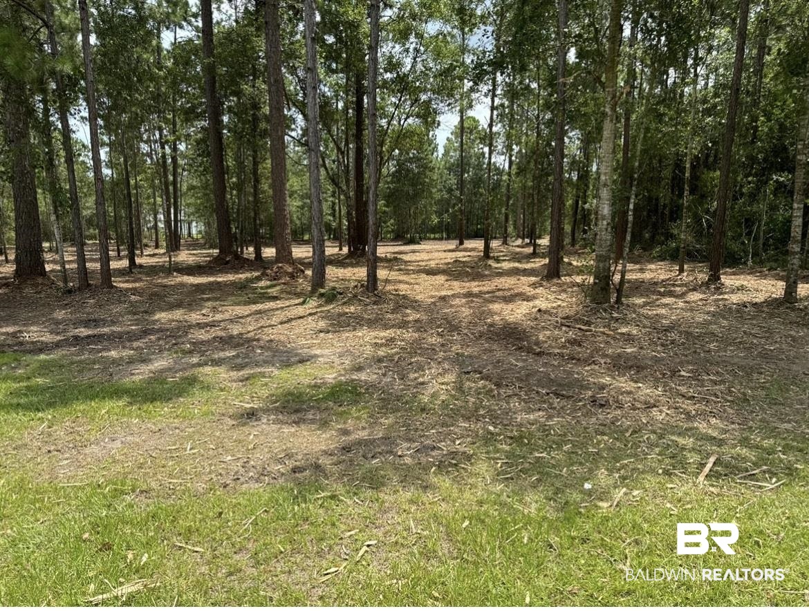 23148 Swift Church Road Foley, AL 36535 - Photo 8 of 11 View of local wilderness