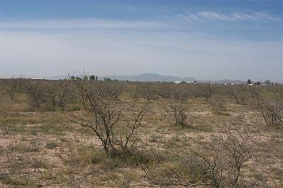 3758 North Joe Hines Road Willcox, AZ 85643 - Photo 3 of 6