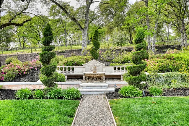 a view of a field with an ocean