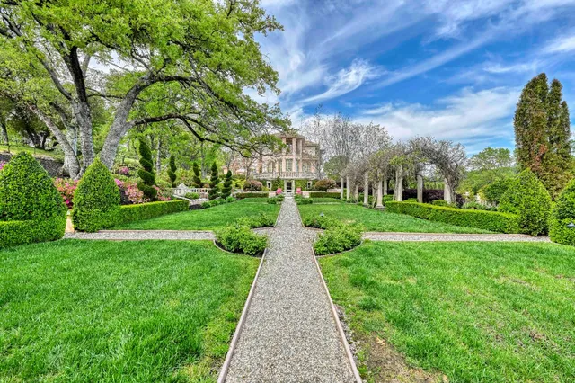 a view of a city with lush green forest