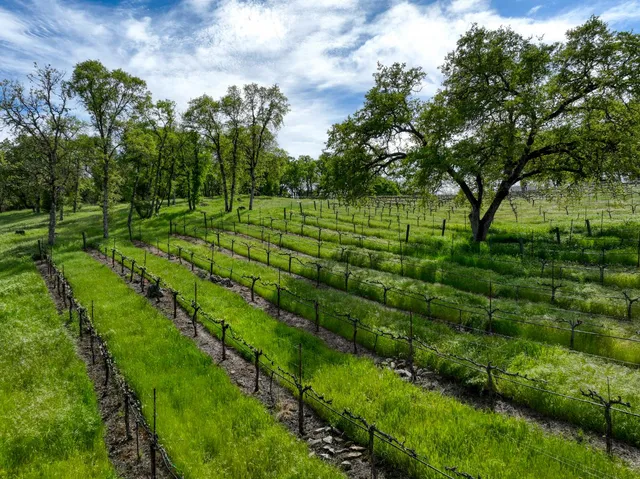 $8,900,000 | 2020 Kaila Way, El Dorado Hills, CA 95762