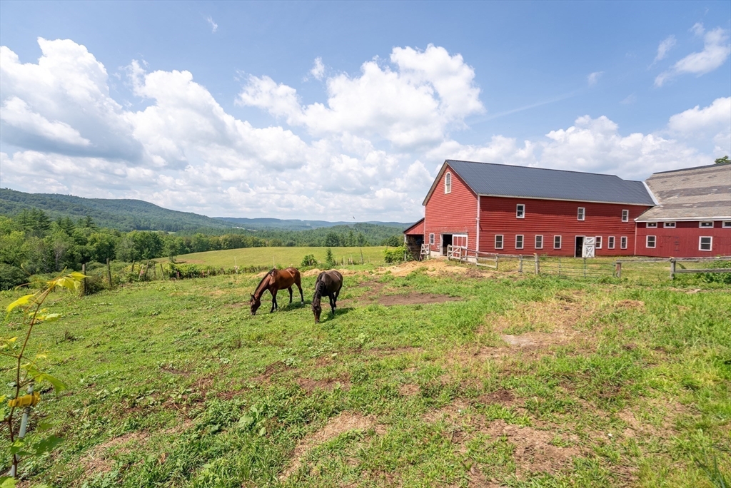 85 Dacey Road Conway, MA 01341 - Photo 34 of 42 a view of front of house with a yard