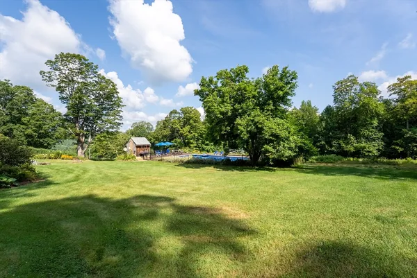a view of a yard with a trees