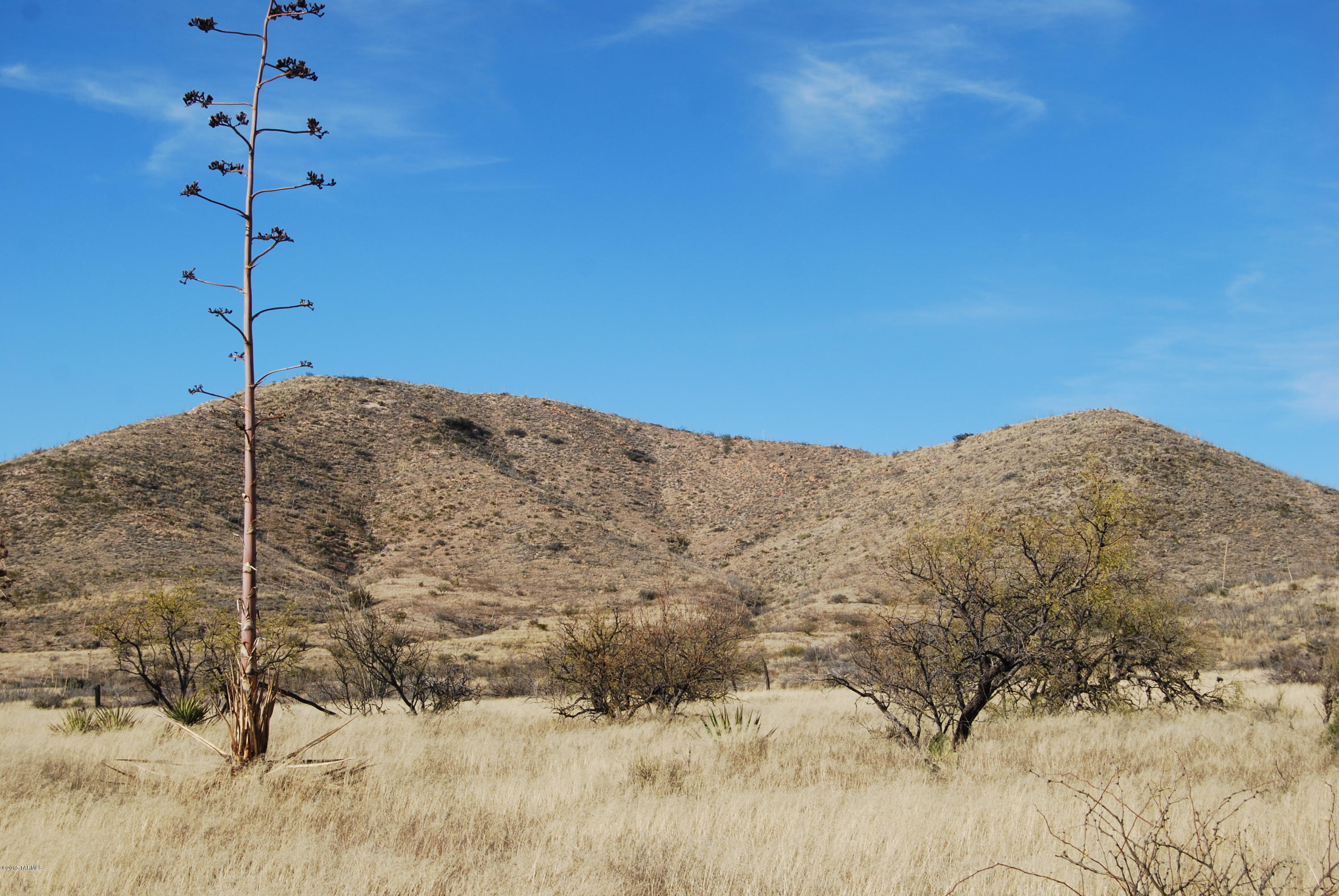 East Diamondback Road St. David, AZ 85630 - Photo 8 of 32