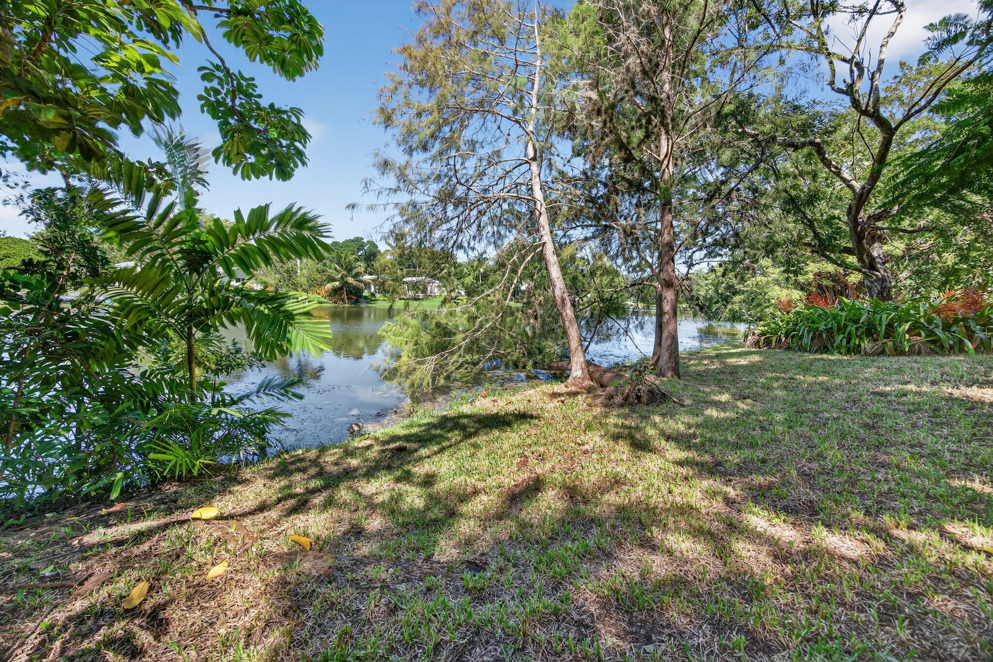 11620 Southwest 69th Court Pinecrest, FL 33156 - Photo 12 of 16 12