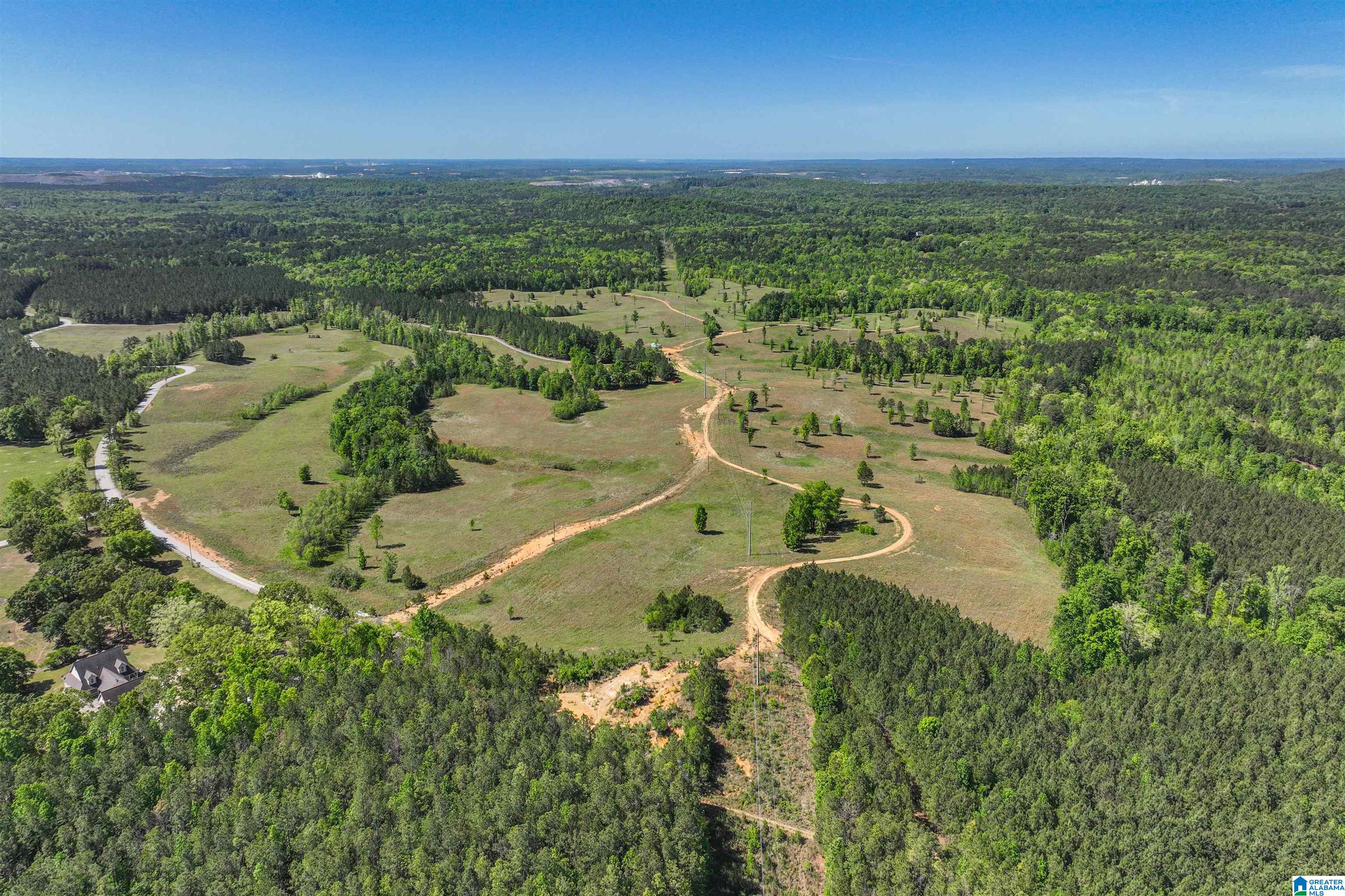 489 4 Wing Lake Road Alabaster, AL 35007 - Photo 1 of 27