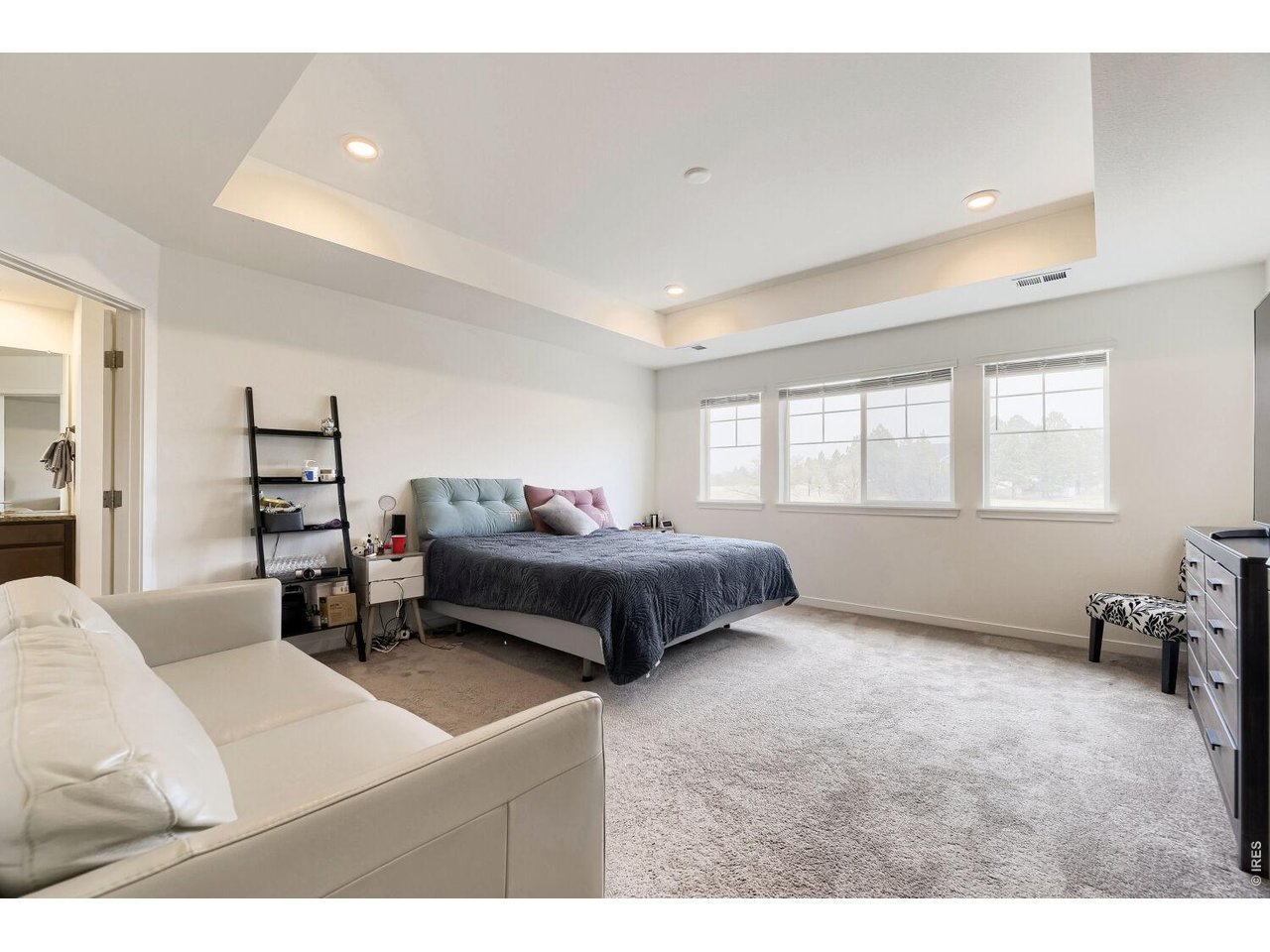 1110 Horsetail Loop Elizabeth, CO 80107 - Photo 10 of 30 Primary Suite