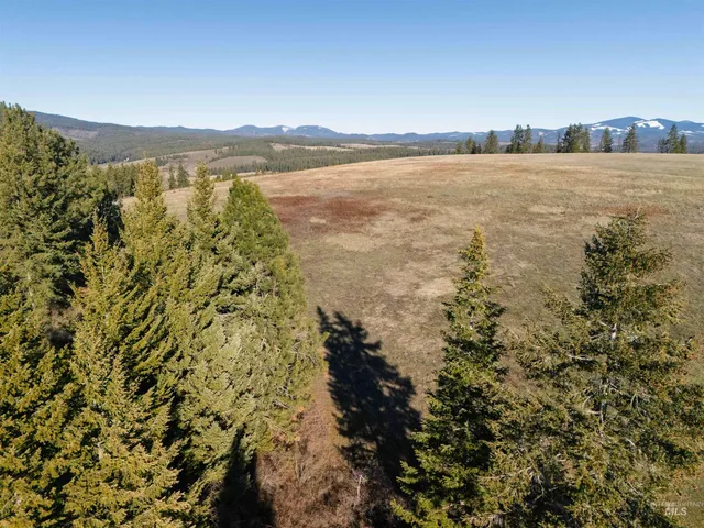 $789,000 | 1017 Laura Lane, Princeton, ID 83857