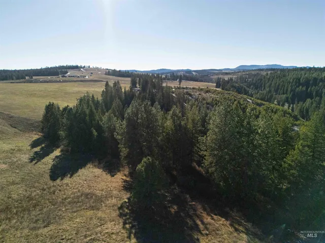 $789,000 | 1017 Laura Lane, Princeton, ID 83857