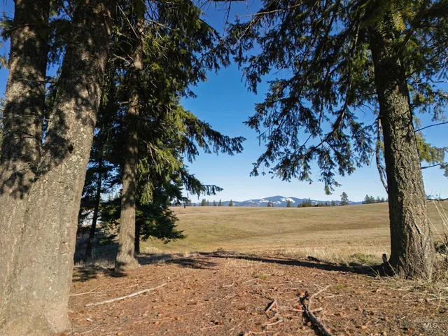 $789,000 | 1017 Laura Lane, Princeton, ID 83857