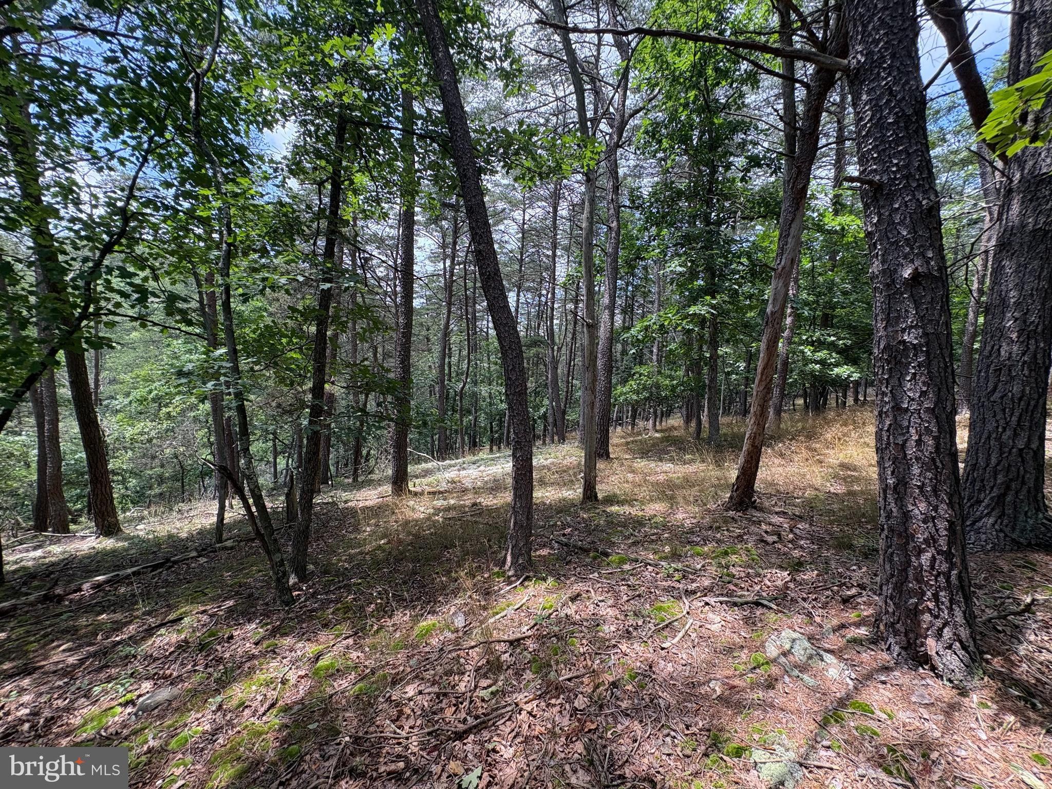 7313 Little Cacapon Road Romney, WV 26757 - Photo 10 of 18