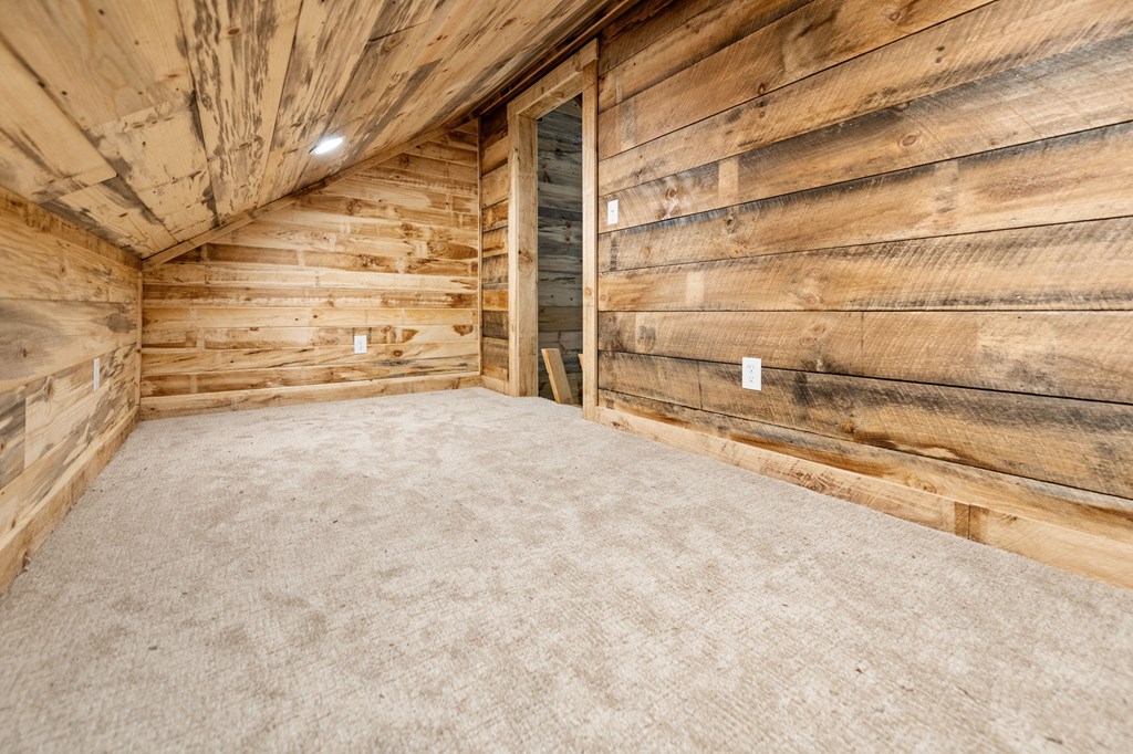 110 Pigeon Creek Road Blue Ridge, GA 30513 - Photo 23 of 64 Gallery Image 23
