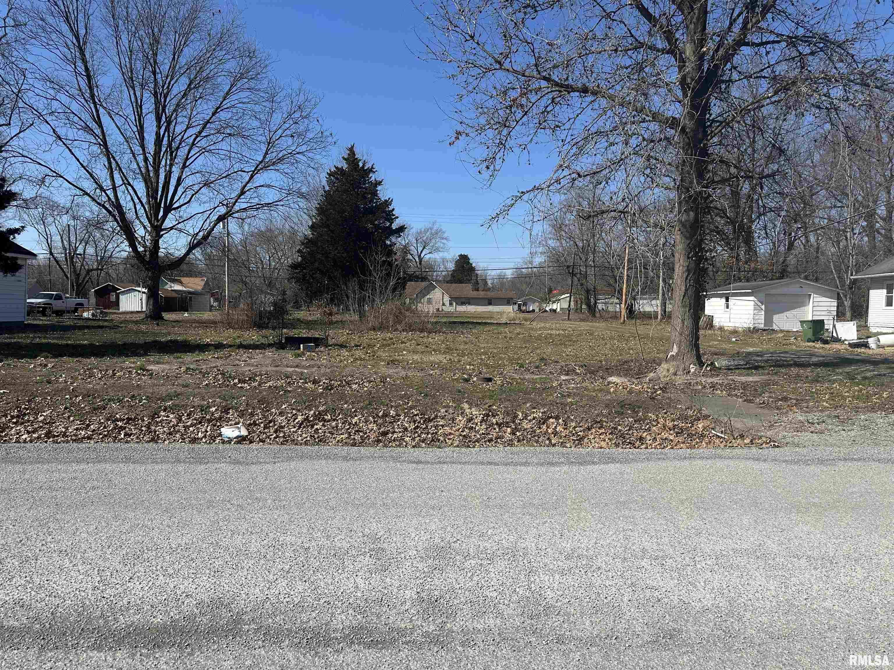 Tbd North 6th Street Elkville, IL 62932 - Photo 2 of 3
