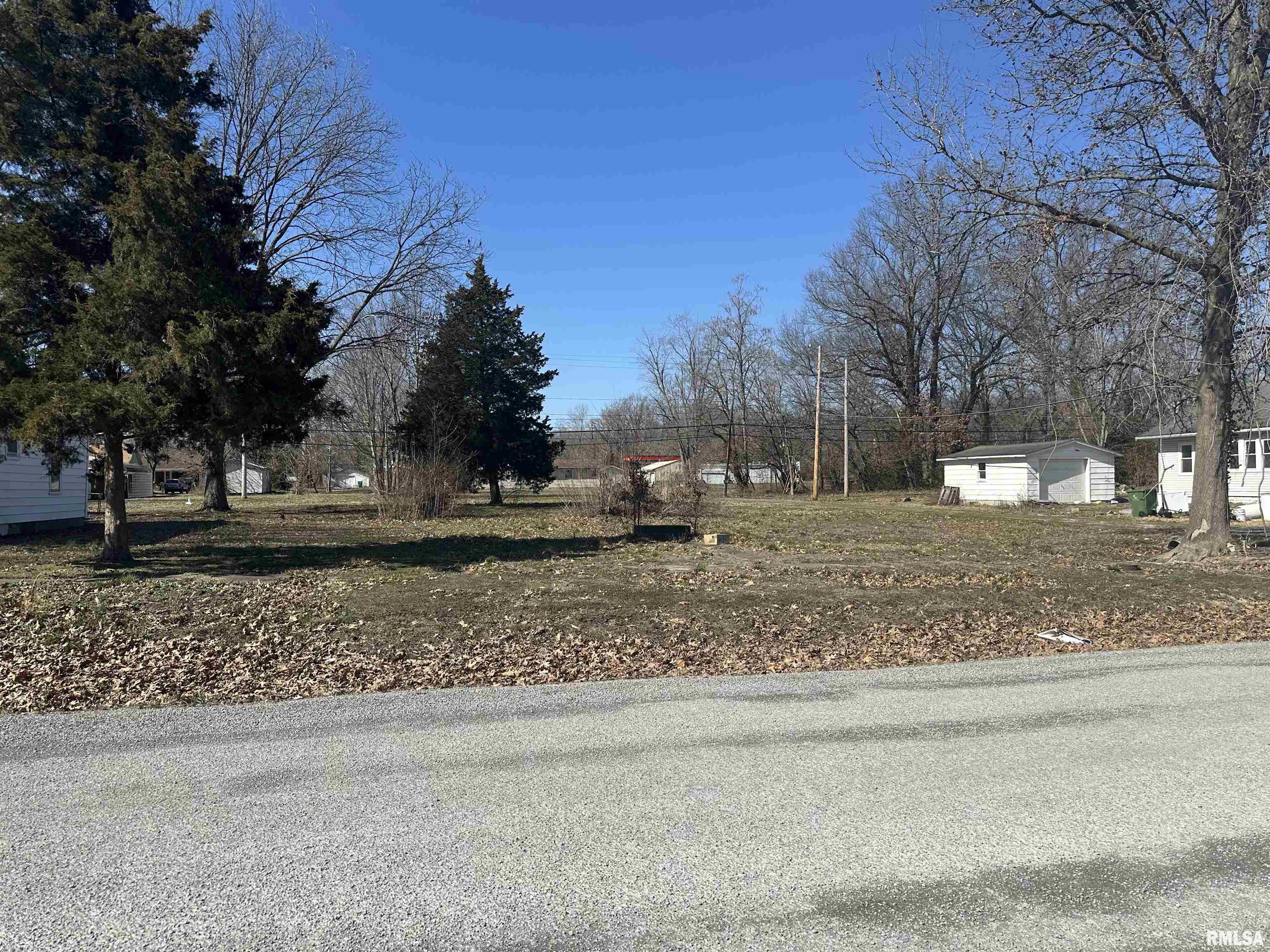 Tbd North 6th Street Elkville, IL 62932 - Photo 3 of 3