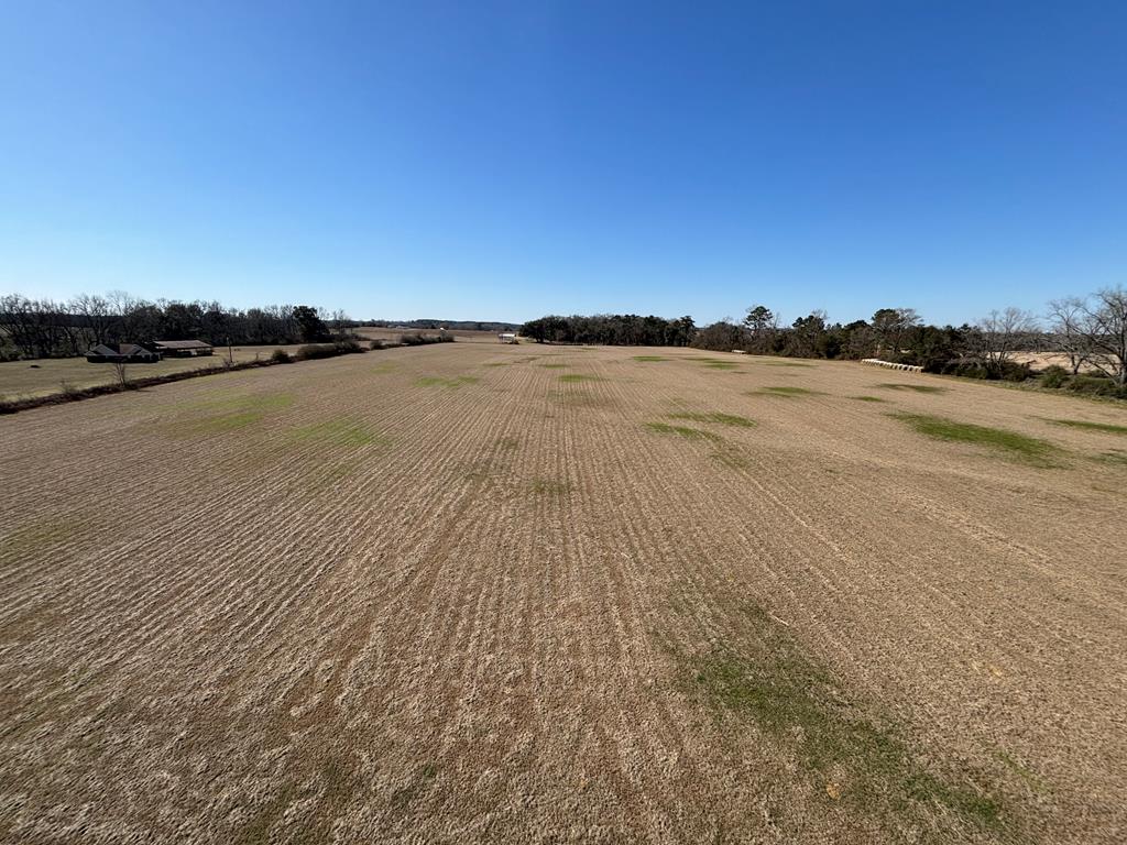 0 Cedar Springs Road Ashford, AL 36312 - Photo 1 of 7
