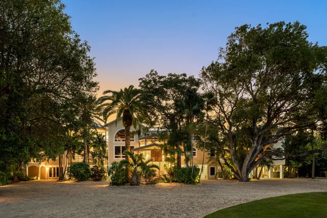 a view of a lake with palm trees