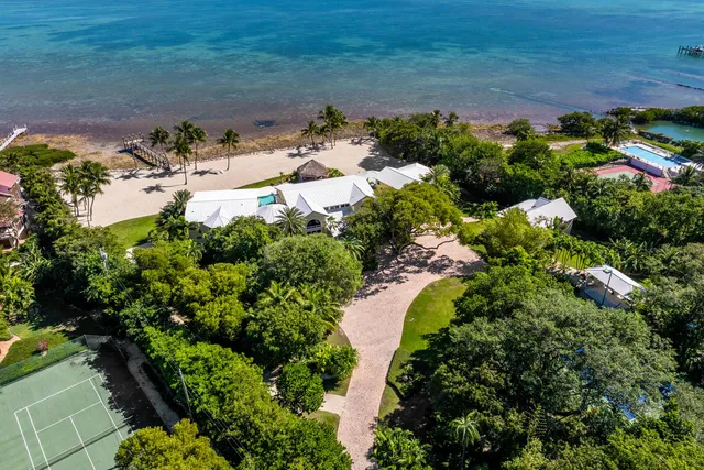 a view of a yard with plants and trees