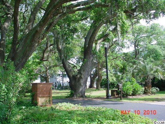 3909 Rice Planters Way Murrells Inlet, SC 29576 - Photo 4 of 5 Gallery Image 4