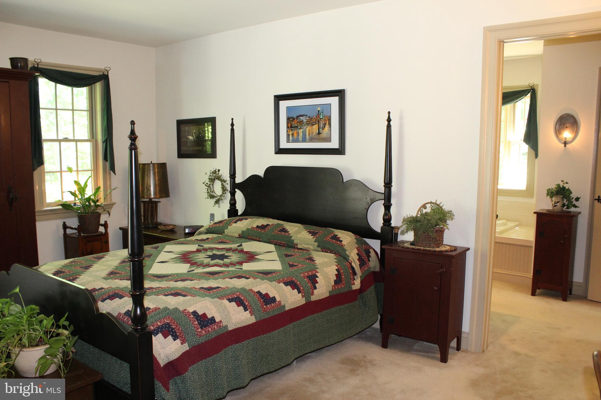 532 Gehman School Road Denver, PA 17517 - Photo 14 of 70 Master Bedroom