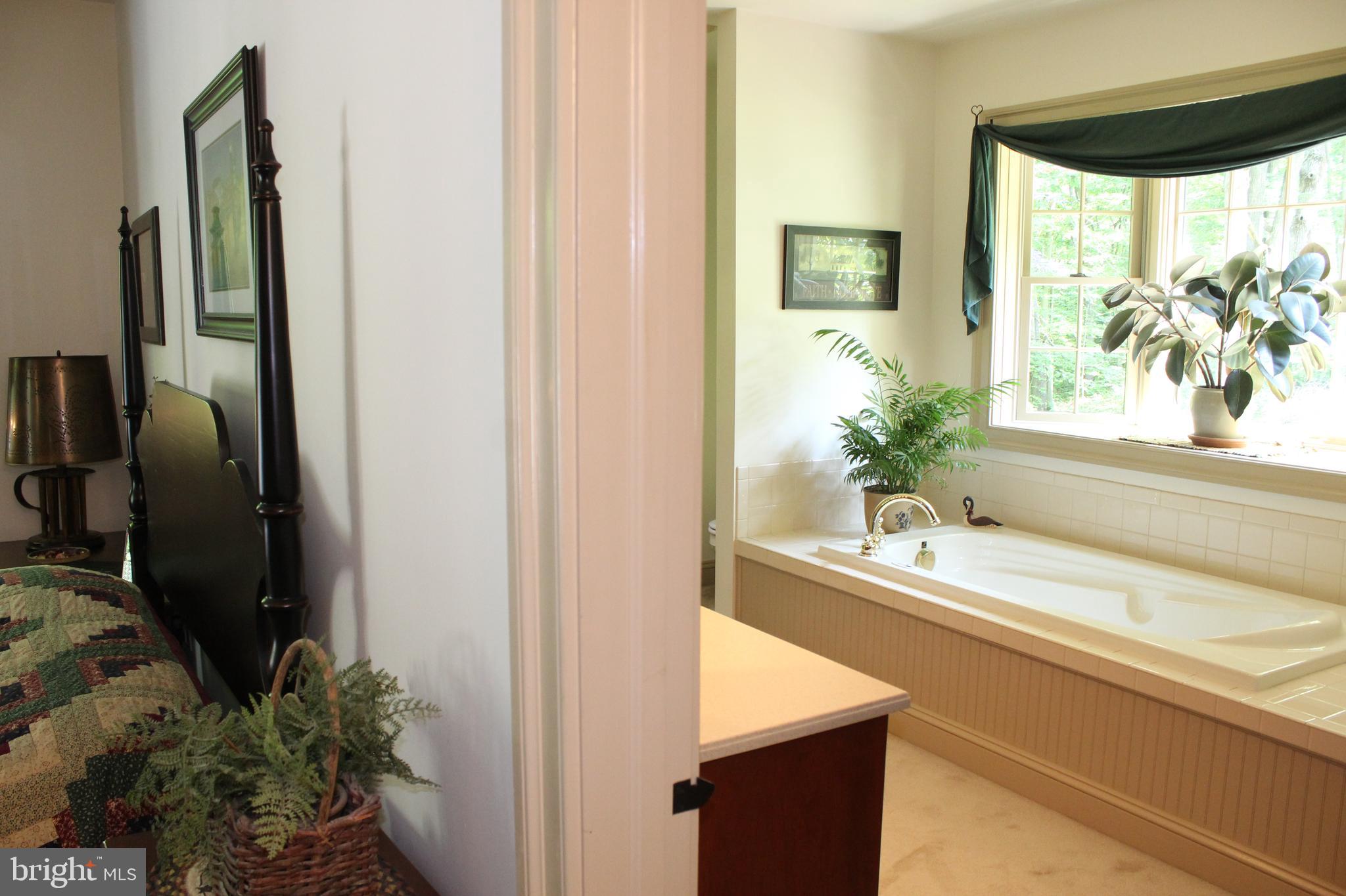 532 Gehman School Road Denver, PA 17517 - Photo 17 of 70 Master Bedroom/Bath
