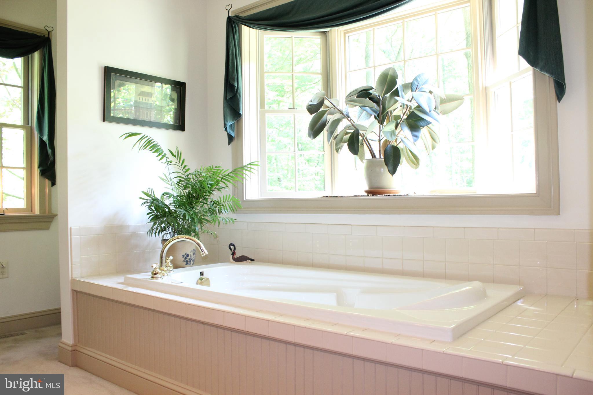 532 Gehman School Road Denver, PA 17517 - Photo 18 of 70 Master Bath