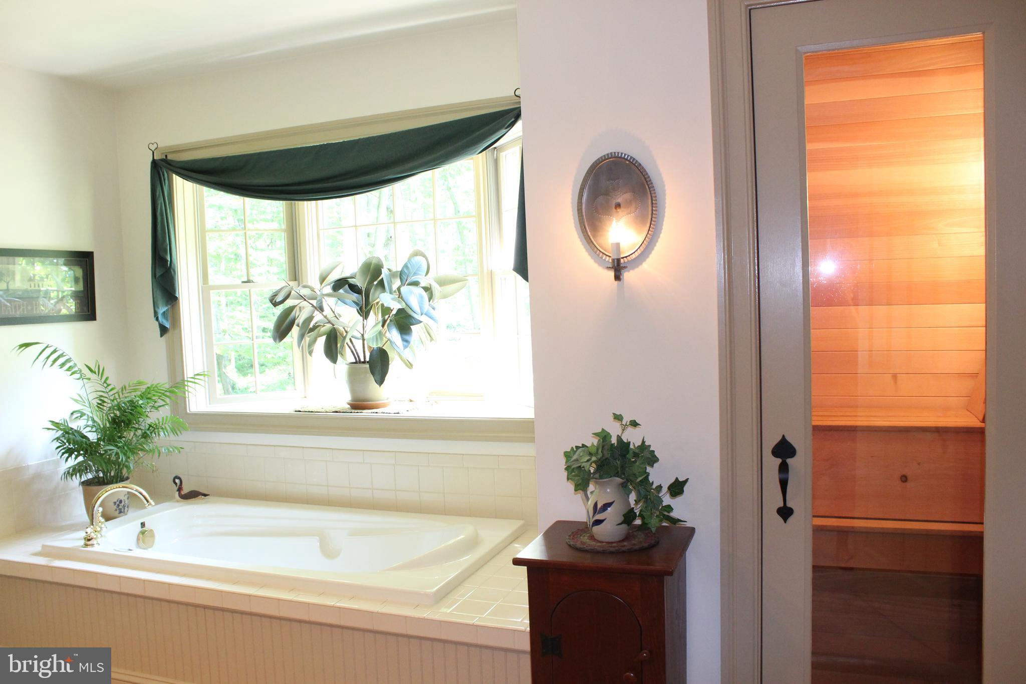 532 Gehman School Road Denver, PA 17517 - Photo 19 of 70 Master Bath