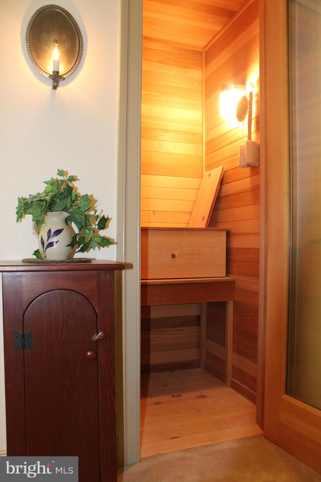 532 Gehman School Road Denver, PA 17517 - Photo 20 of 70 Sauna