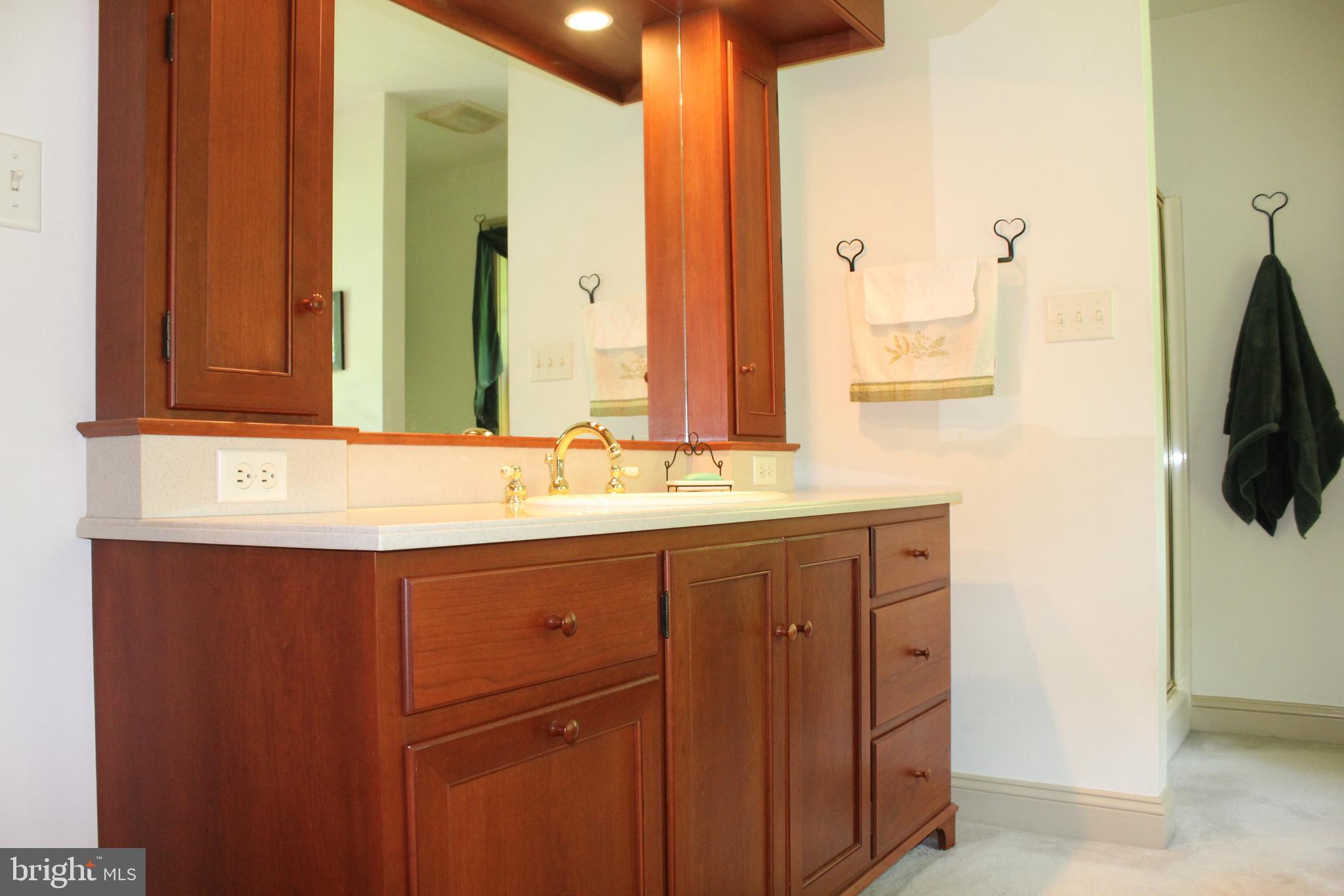 532 Gehman School Road Denver, PA 17517 - Photo 21 of 70 Master Bath