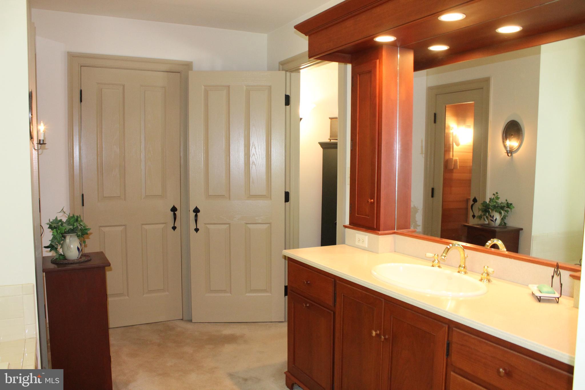 532 Gehman School Road Denver, PA 17517 - Photo 22 of 70 Master Bath