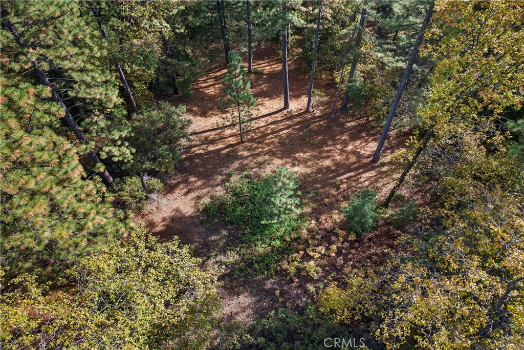 0 Burgundy Lane Forest Ranch, CA 95942 - Photo 13 of 29 a view of a tree in a yard