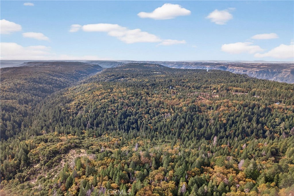 0 Burgundy Lane Forest Ranch, CA 95942 - Photo 29 of 29 a view of a city with lush green forest