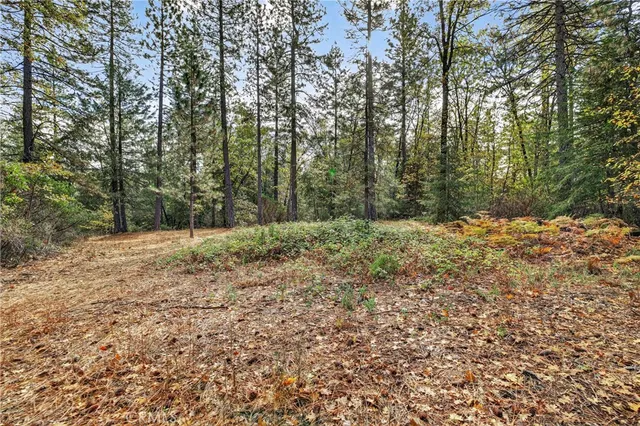 a view of a yard with trees in the background