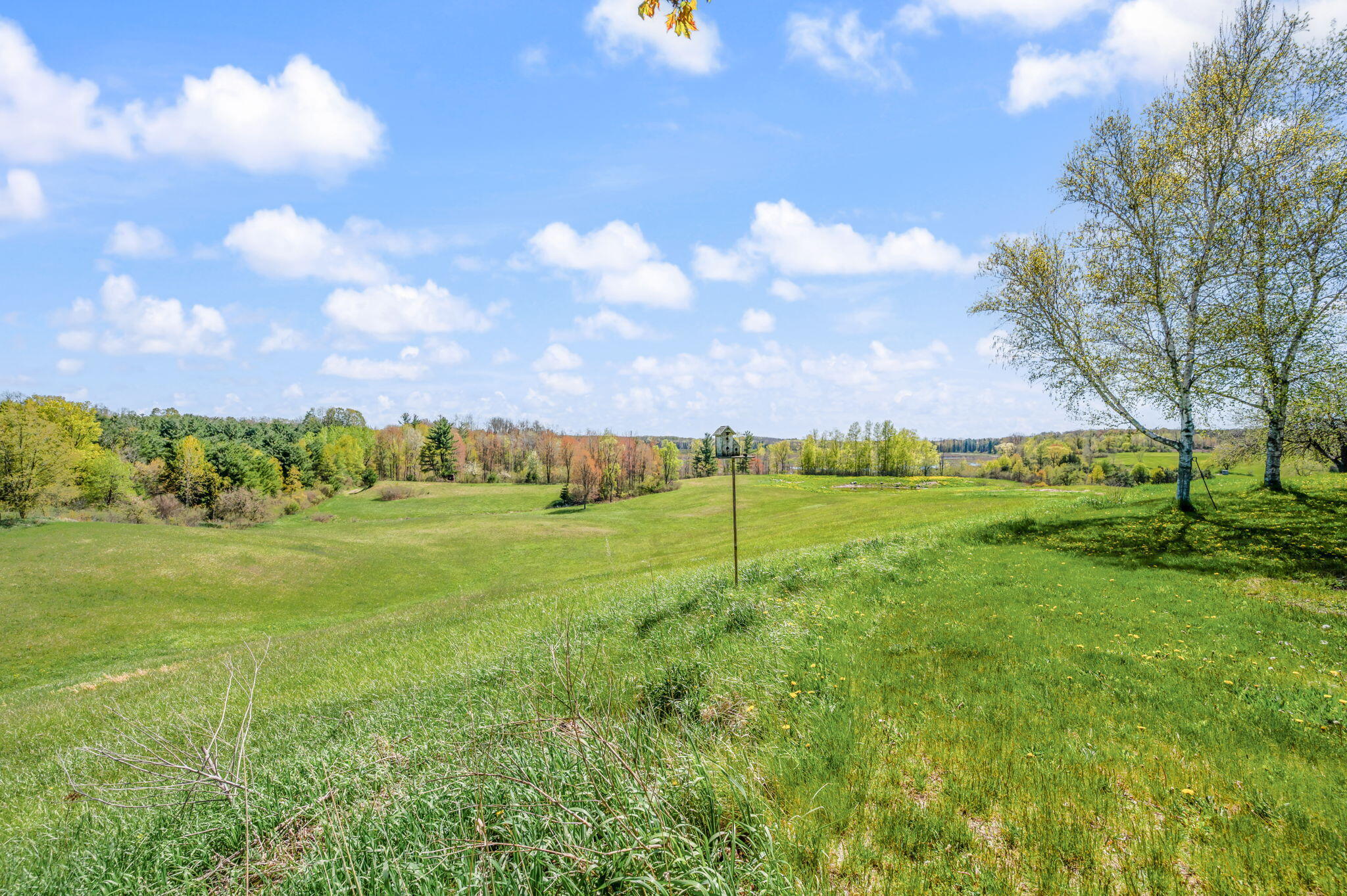14335 21 Mile Road Big Rapids, MI 49307 - Photo 50 of 61 47-web-or-mls-14335-21MileRd-BR-47