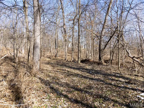 $505,800 | 0 Pike 41, Bowling Green, MO 63334