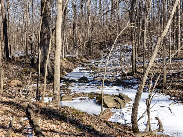 $505,800 | 0 Pike 41, Bowling Green, MO 63334