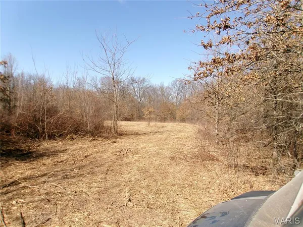 $505,800 | 0 Pike 41, Bowling Green, MO 63334