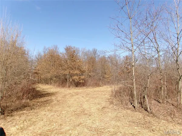 $505,800 | 0 Pike 41, Bowling Green, MO 63334