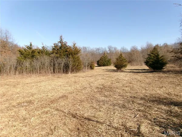 $505,800 | 0 Pike 41, Bowling Green, MO 63334