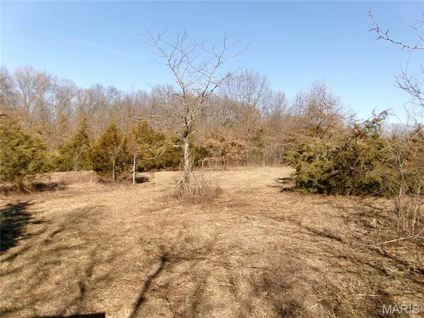 $505,800 | 0 Pike 41, Bowling Green, MO 63334