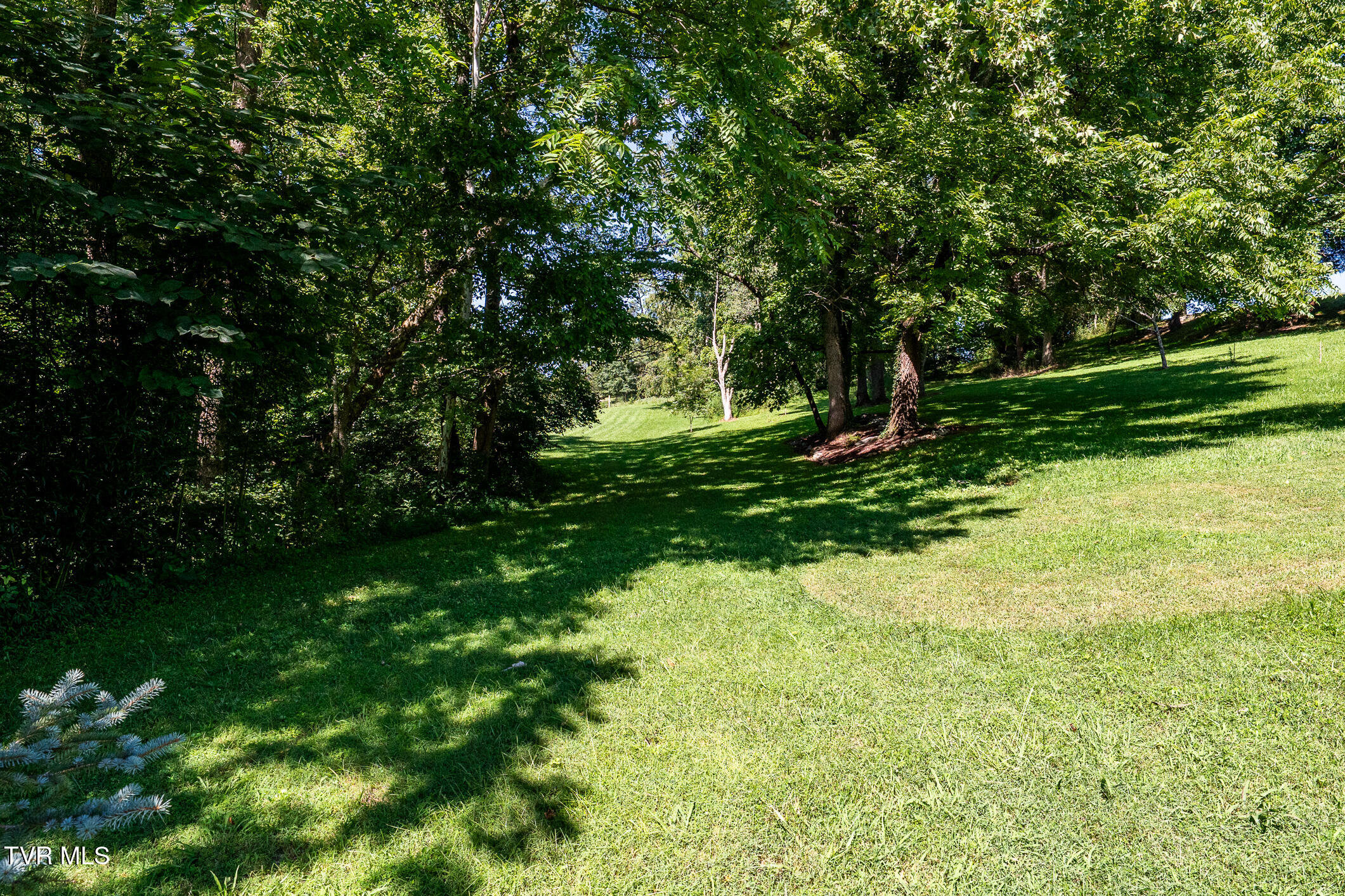 186 Oliver Edwards Road Jonesborough, TN 37659 - Photo 112 of 125 186 Oliver Edwards Road (63 of 130)