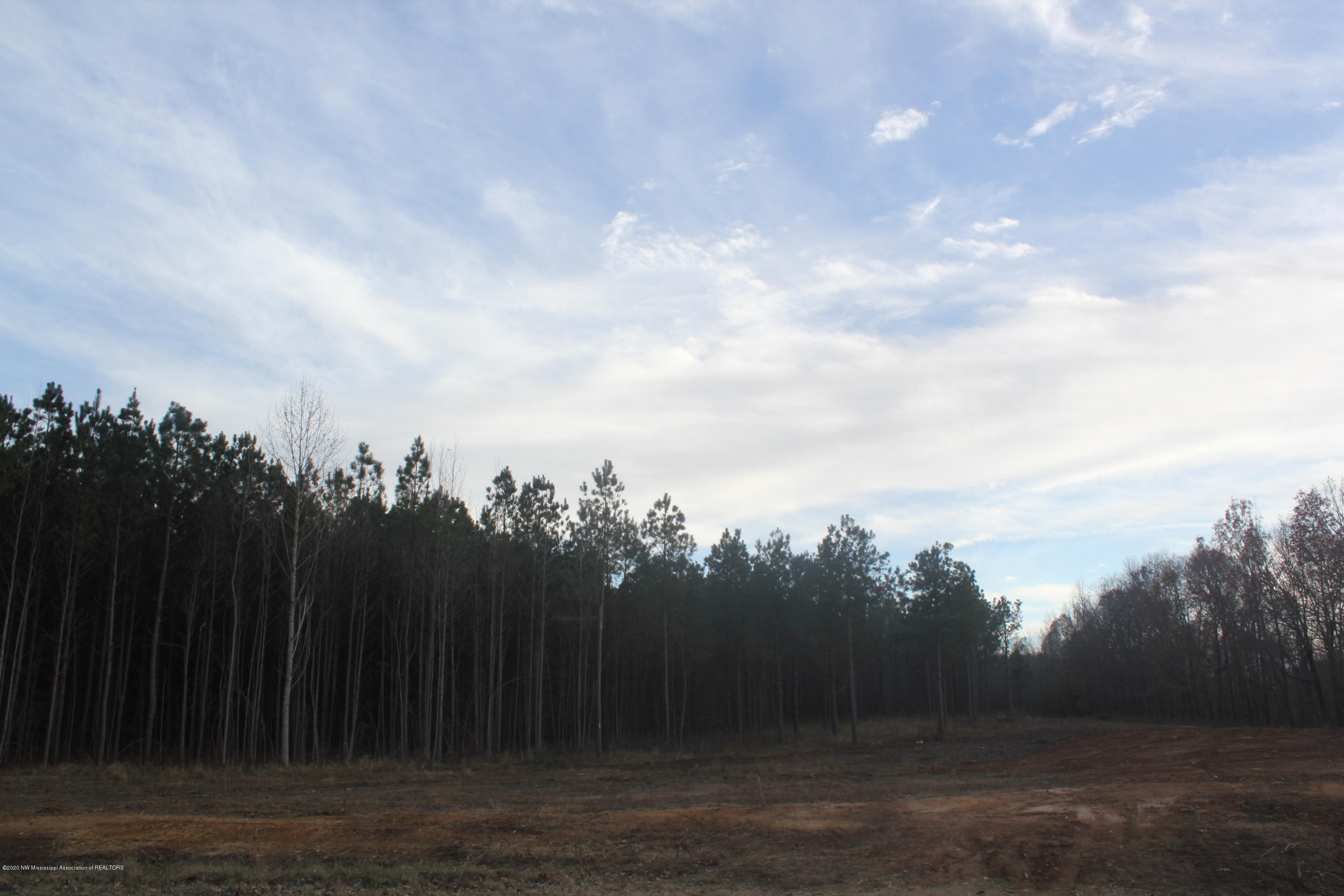 253 Hogan Road Lamar, MS 38642 - Photo 25 of 32 IMG_5343
