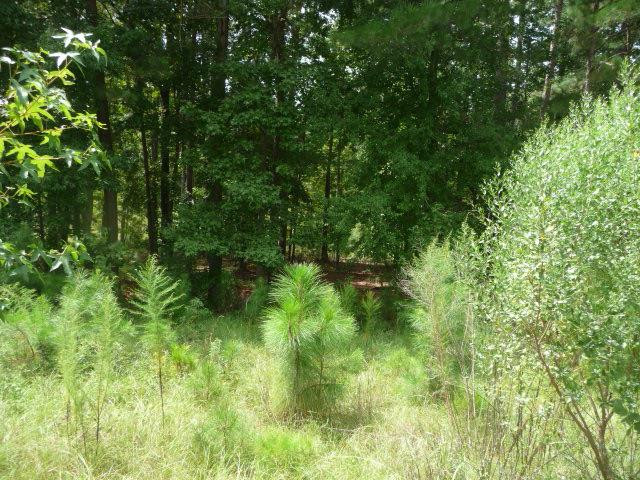 121 Commonwealth Way Aiken, SC 29803 - Photo 9 of 10