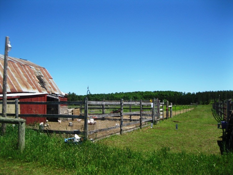 783 Mitchell Road Southeast Kalkaska, MI 49646 - Photo 10 of 38 1802133-9.JPG