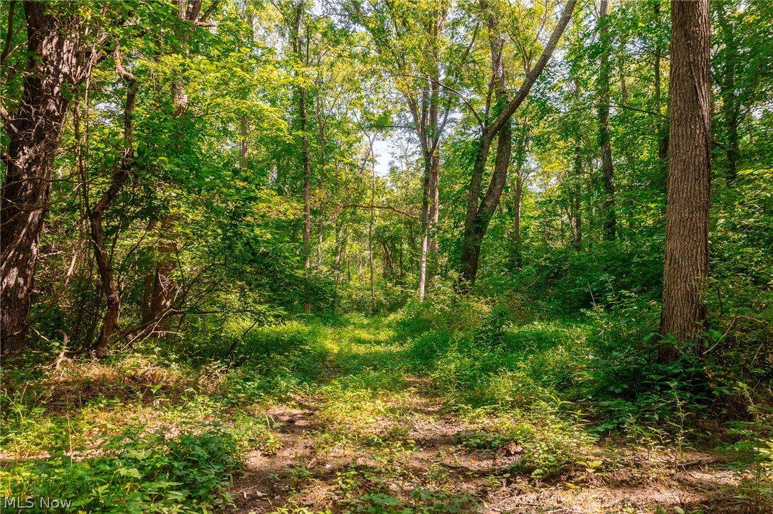 Richards Rd Road Cambridge, OH 43725 - Photo 25 of 46