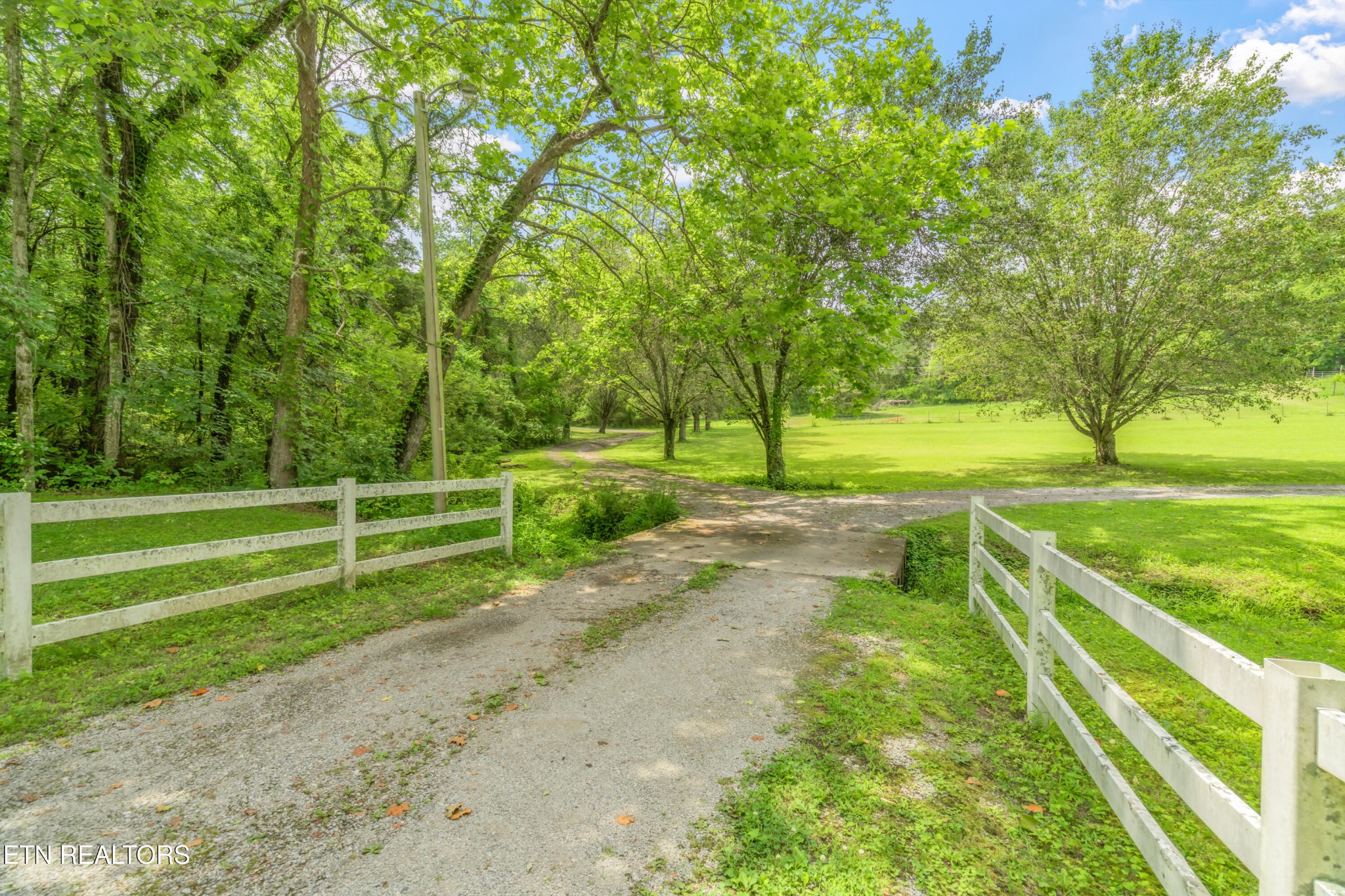 3781 Sugar Grove Valley Road Harriman, TN 37748 - Photo 11 of 45 Gallery Image 11