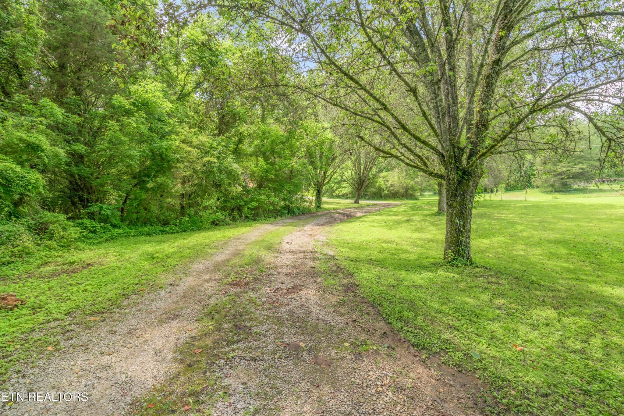 3781 Sugar Grove Valley Road Harriman, TN 37748 - Photo 15 of 45 Gallery Image 15