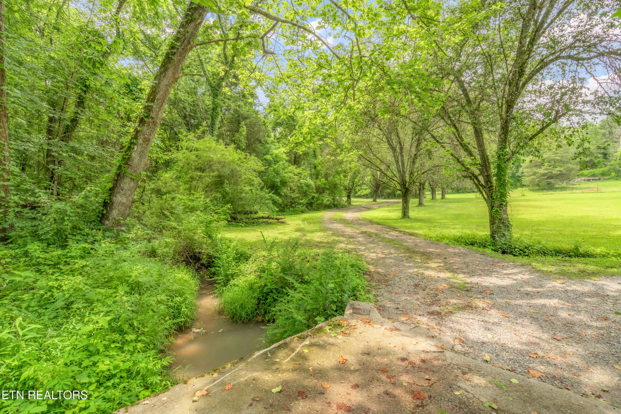 3781 Sugar Grove Valley Road Harriman, TN 37748 - Photo 10 of 45 Gallery Image 10